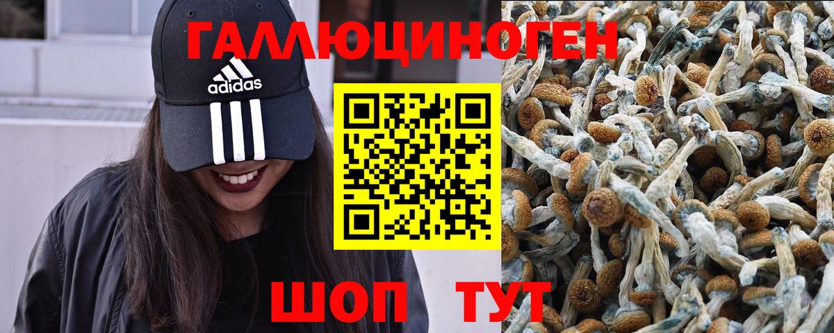 дарнет шоп  Галлюциногенные грибы мицелий  Вход с VPN  Усть-Джегута 