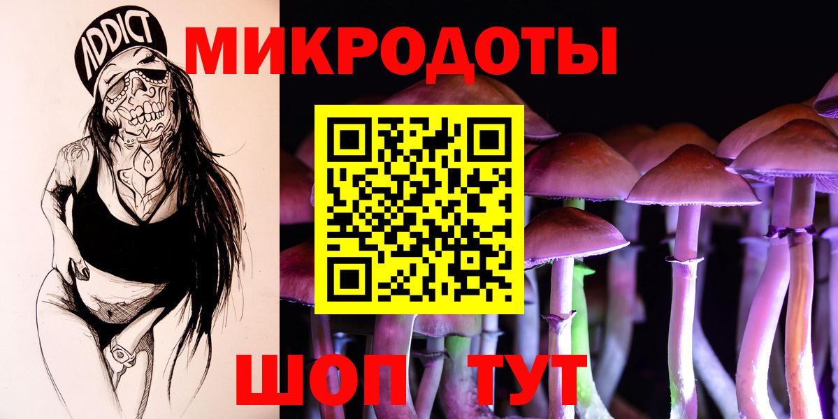 Псилоцибиновые грибы прущие грибы Усть-Джегута