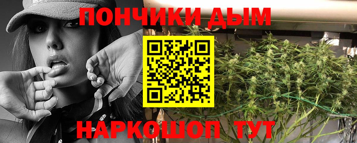 Бошки марихуана план  Вход с VPN  Усть-Джегута  Марихуана Ganja  Конопля ГИДРОПОН  Марихуана Amnesia 